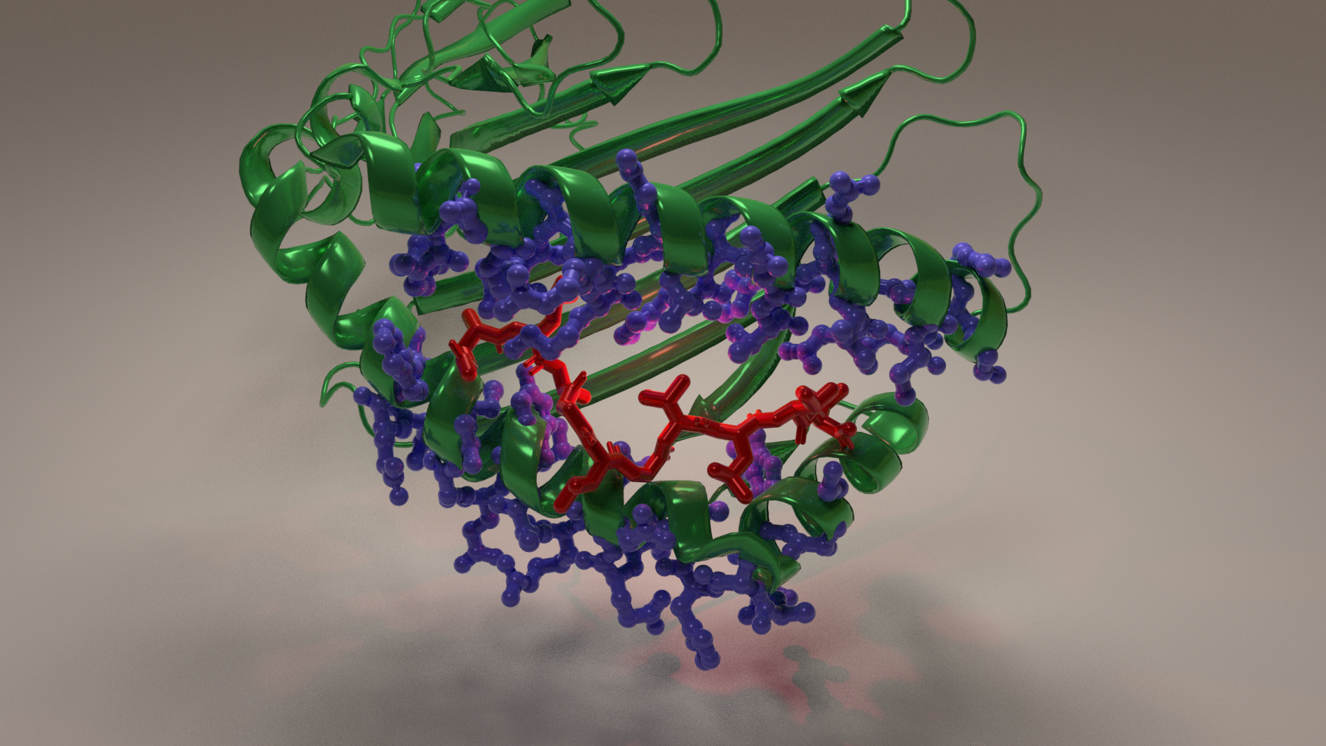 pymol tutorial chain